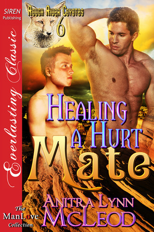 Healing a Hurt Mate book cover
