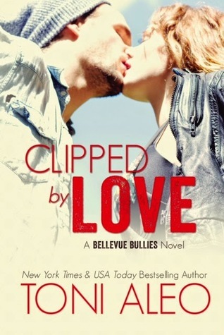 Bellevue Bullies book cover 2