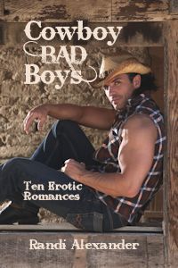 Cowboy Bad Boys book cover