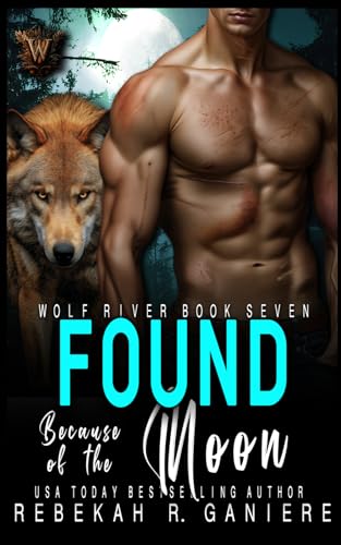 Found Because of the Moon book cover