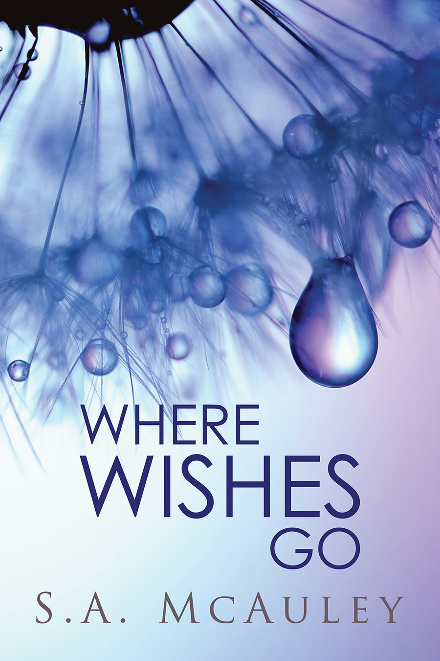Where Wishes Go book cover