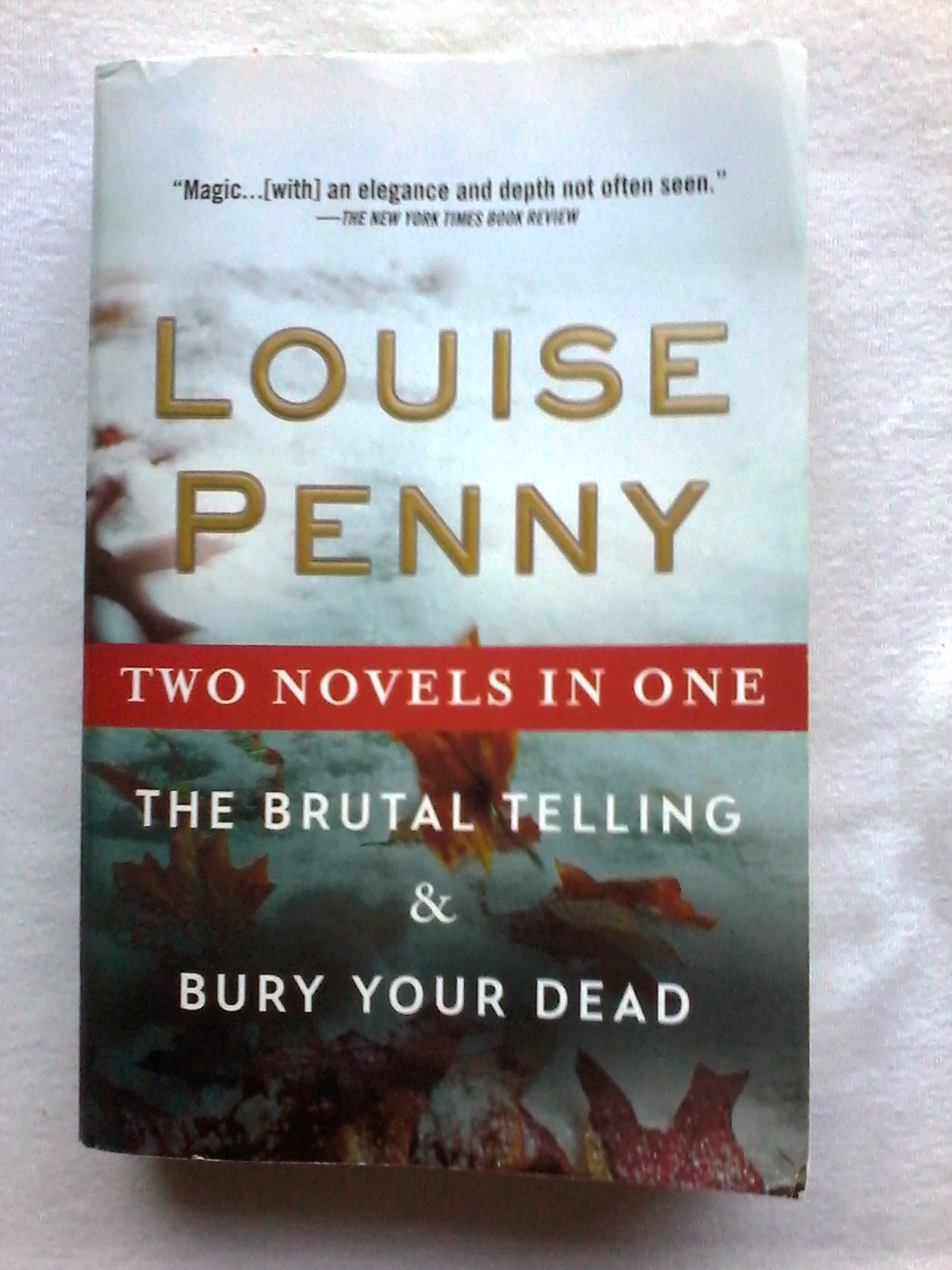 The Brutal Telling / Bury Your Dead book cover