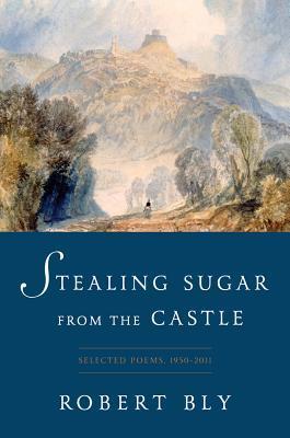 Stealing Sugar from the Castle book cover