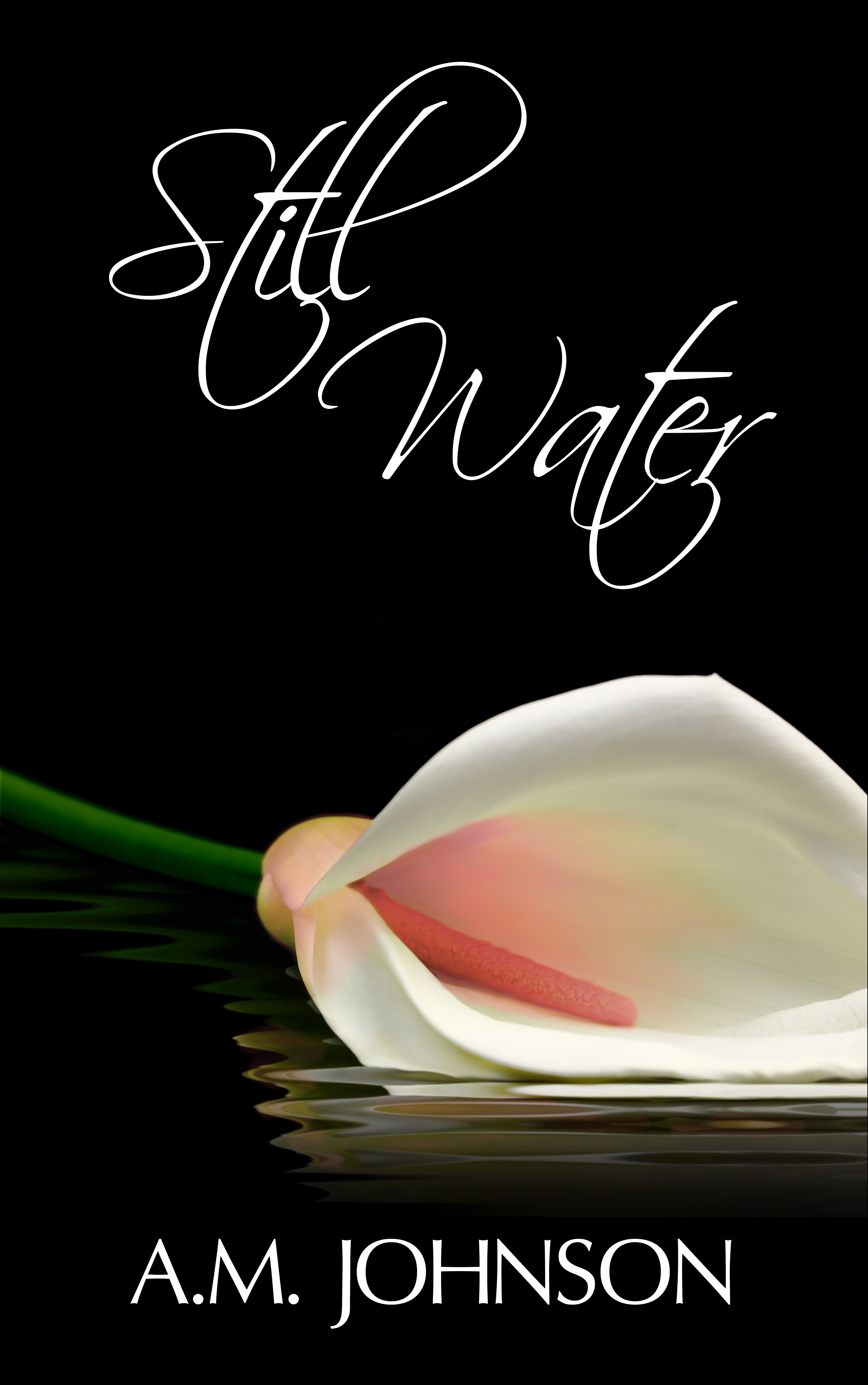 Forever Still book cover 2