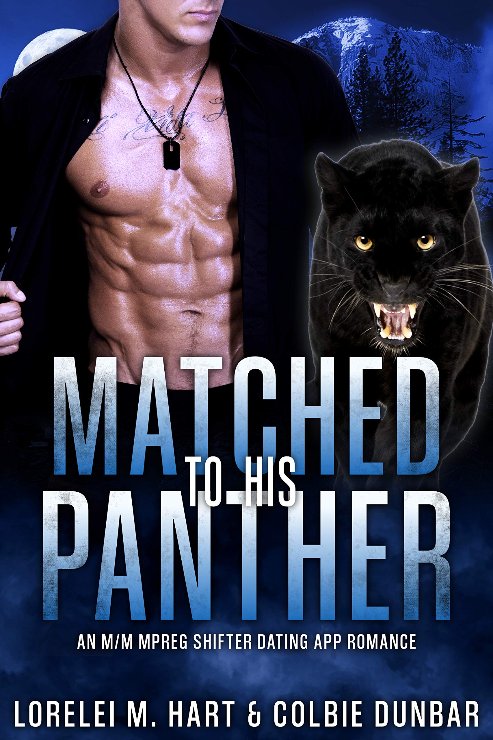 Matched to His Panther book cover
