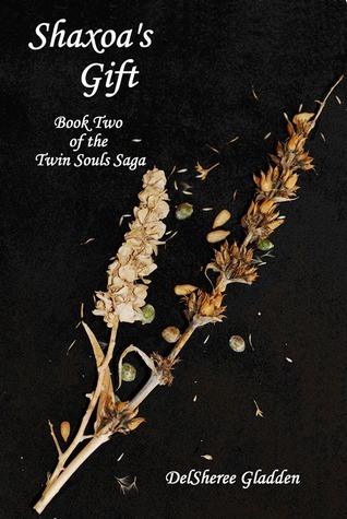 Twin Souls book cover 2