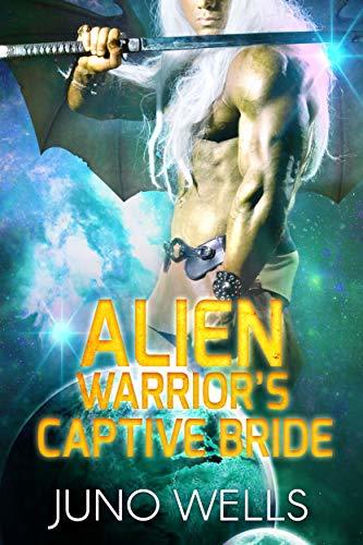 Draconian Warriors book cover 1