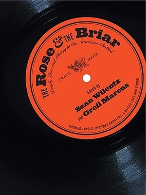 The Rose and the Briar book cover