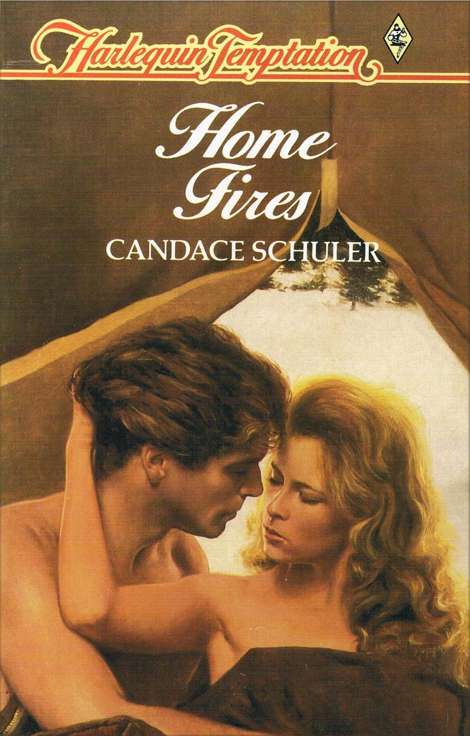 Home Fires book cover