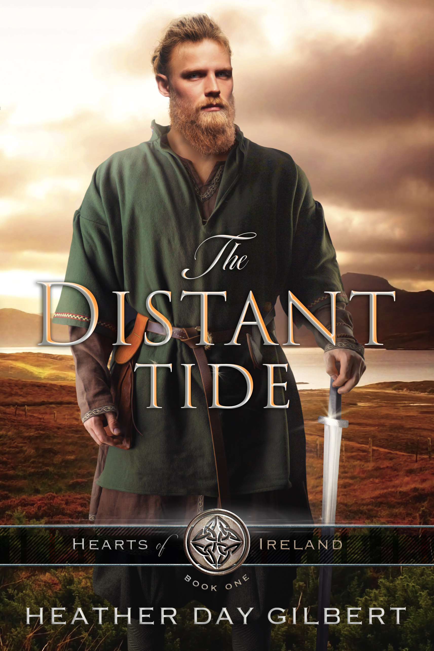 The Distant Tide book cover