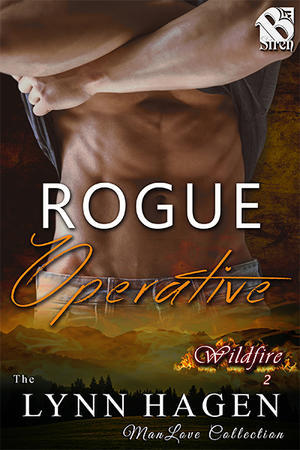 Wildfire book cover 2