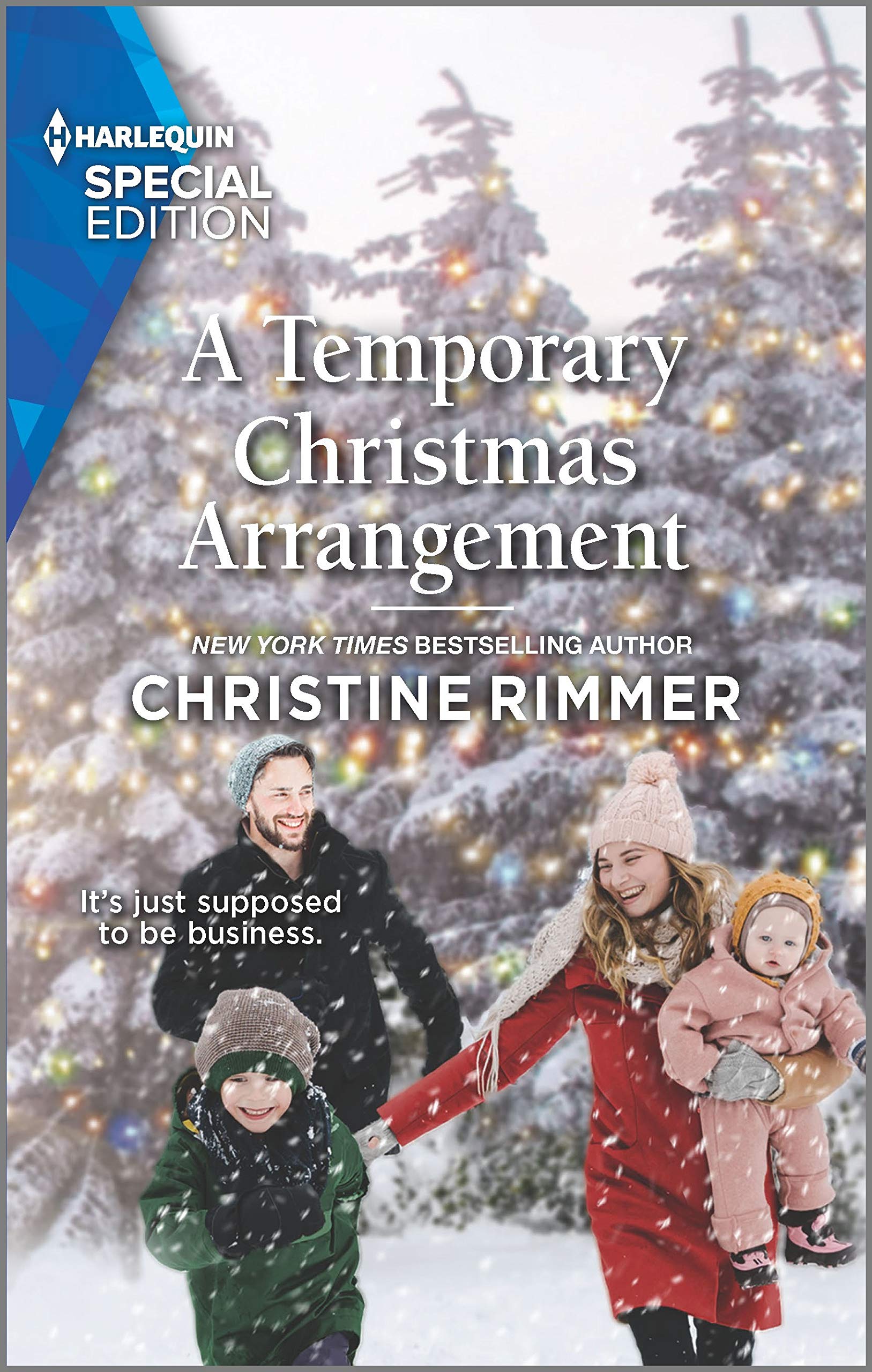 A Temporary Christmas Arrangement book cover