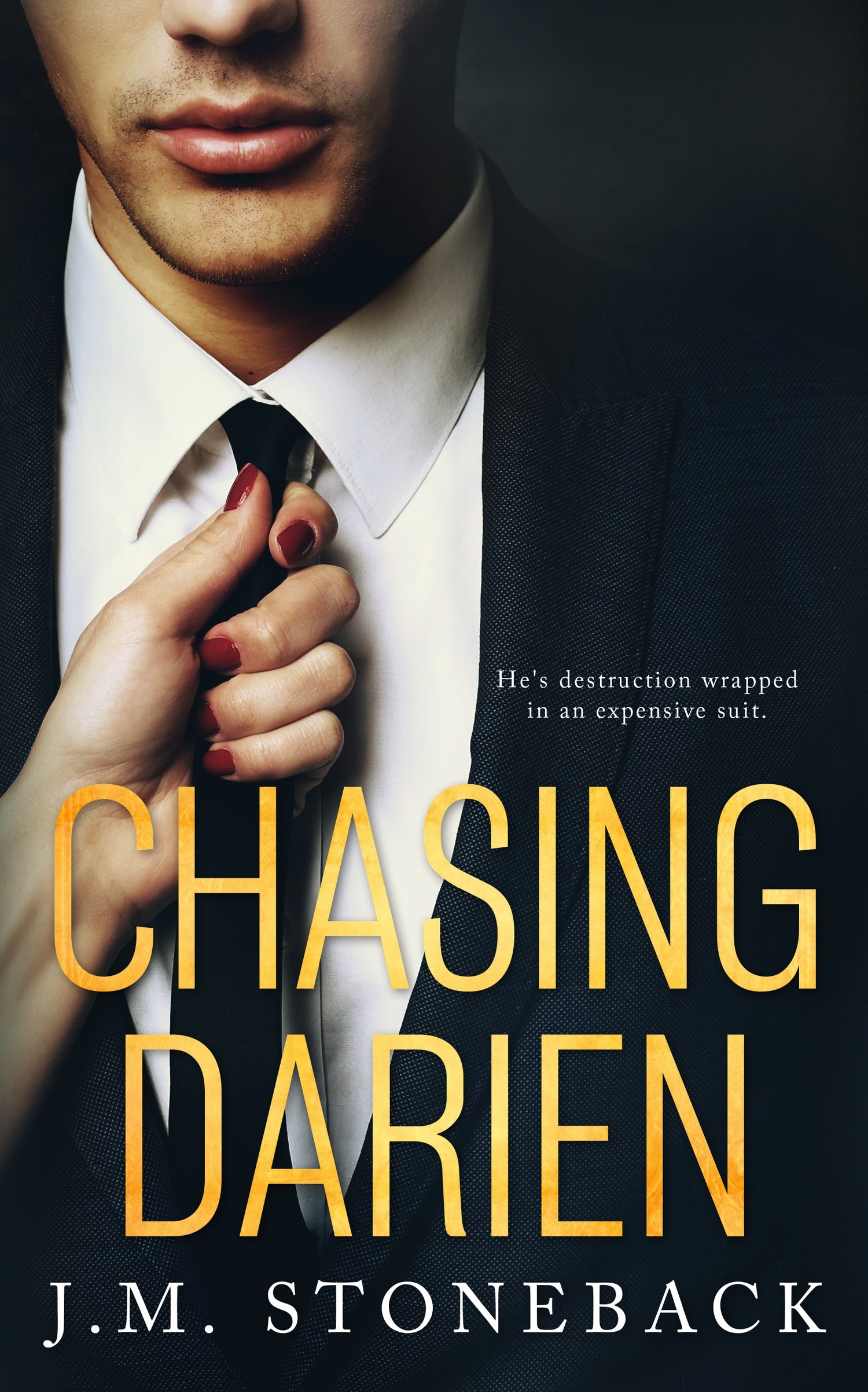 Chasing book cover 1