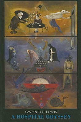 A Hospital Odyssey book cover
