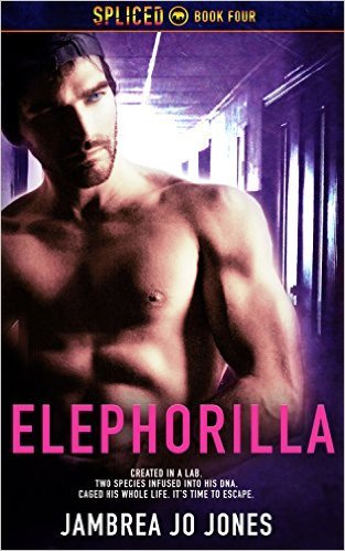 Elephorilla book cover