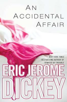 An Accidental Affair book cover