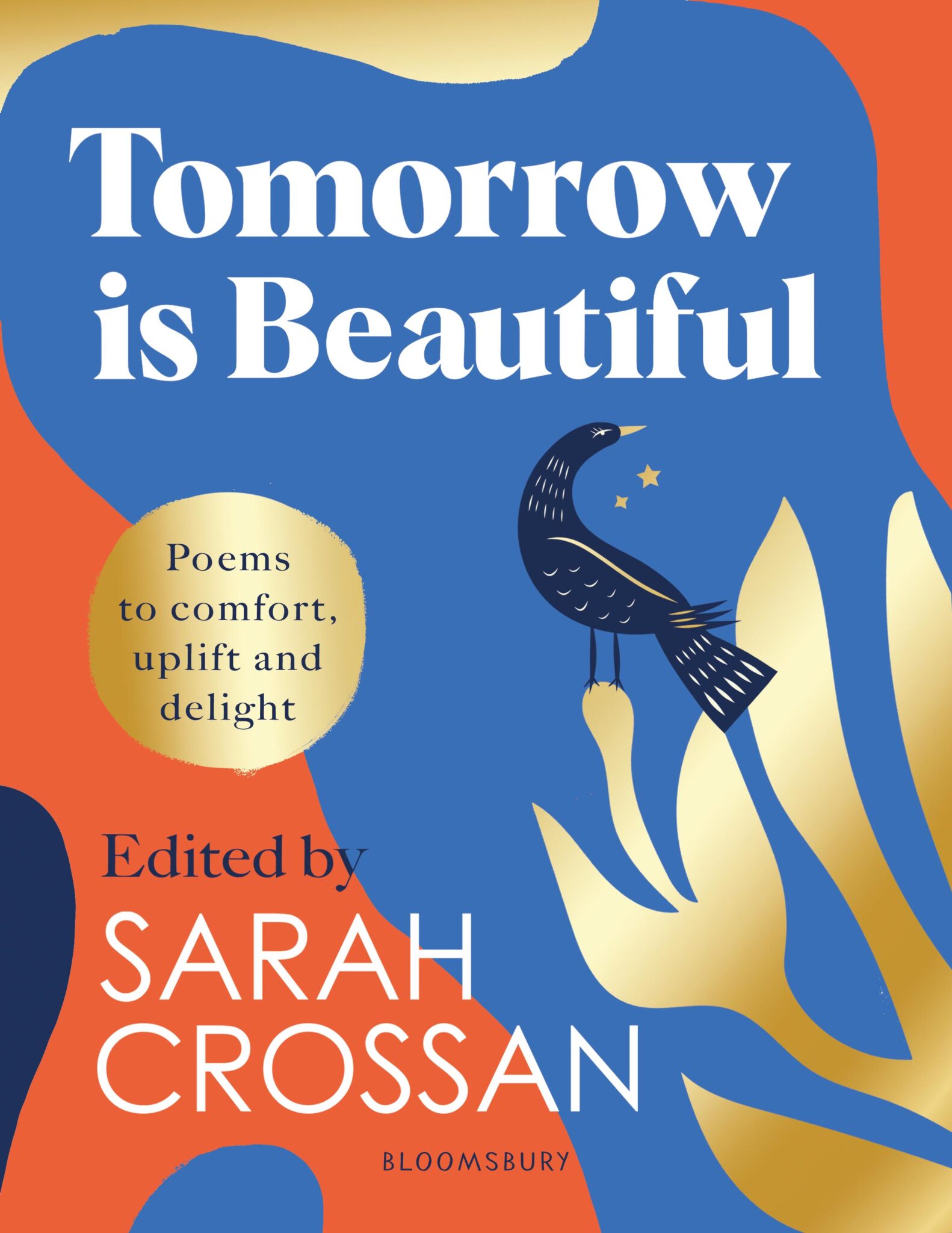 Tomorrow is Beautiful book cover