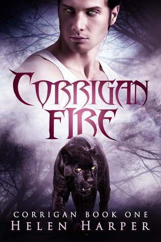 Corrigan book cover 1