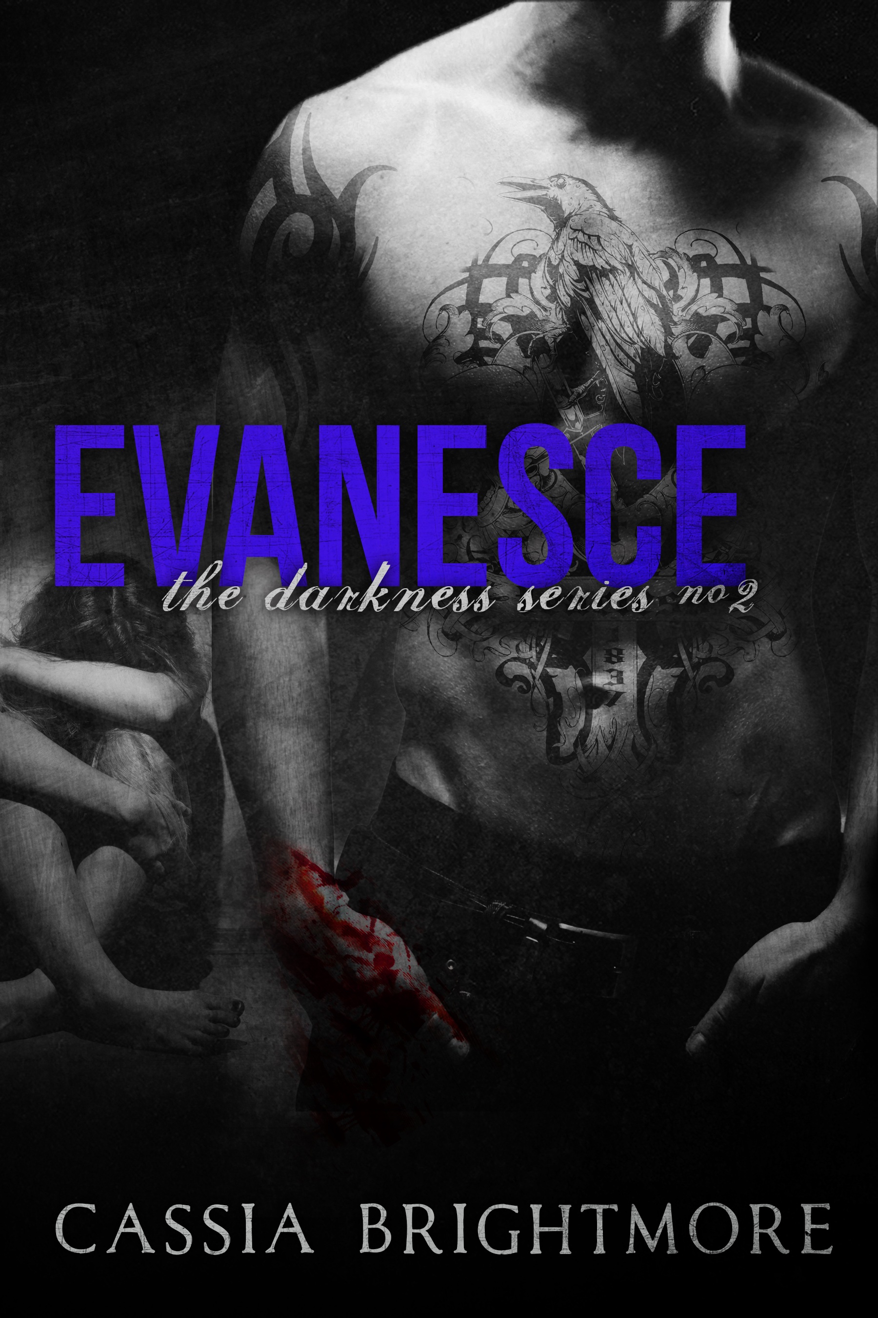 Darkness book cover 2