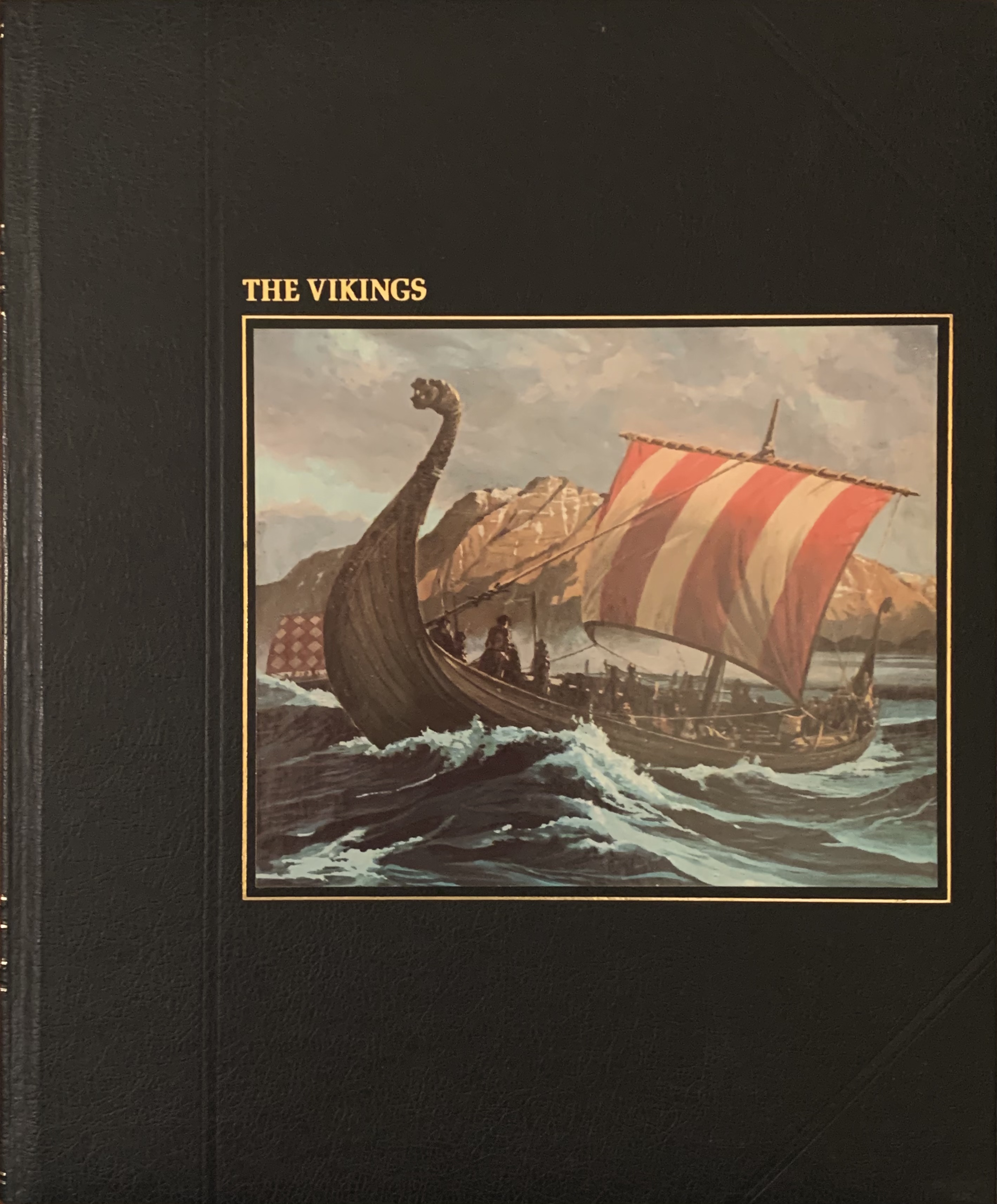 The Vikings book cover