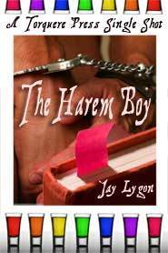 The Harem Boy book cover