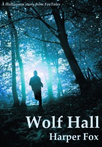 Wolf Hall book cover