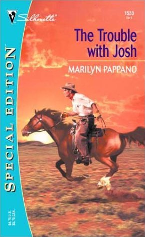 Rawlins Brothers book cover 2