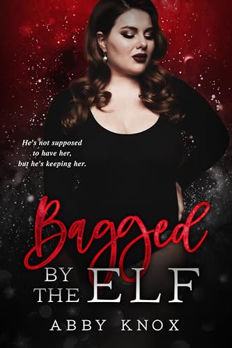 Bagged by the Elf book cover