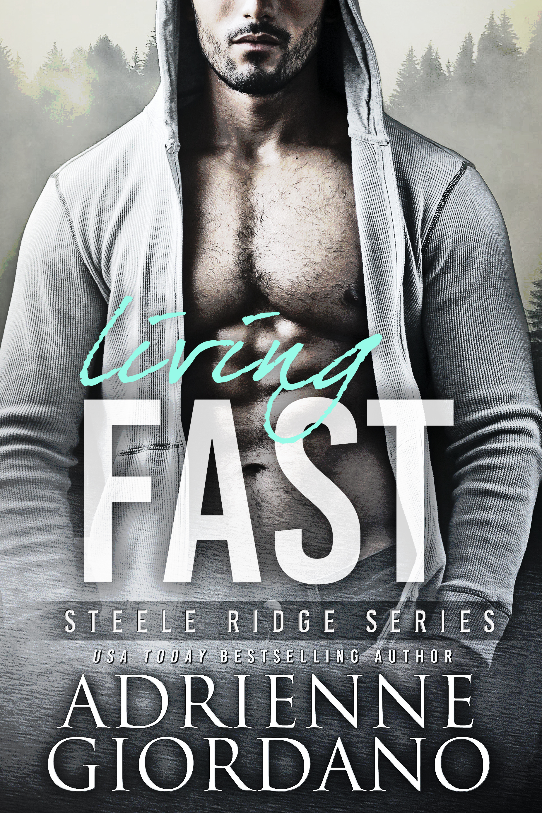 Steele Ridge book cover 3