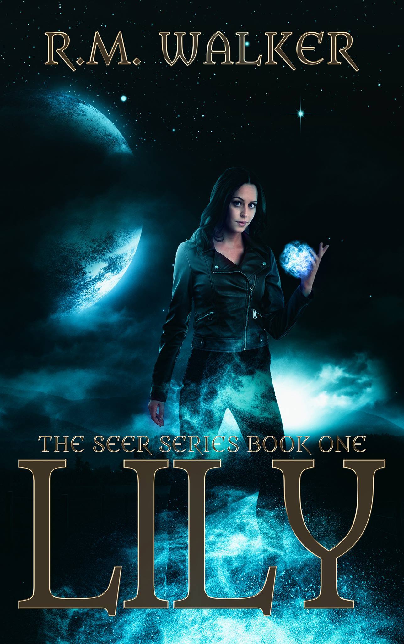 The Seer book cover 1