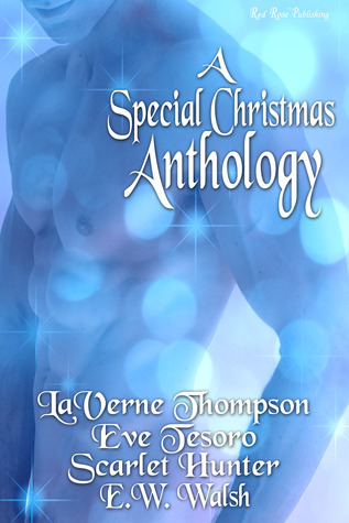 A Special Christmas Anthology book cover