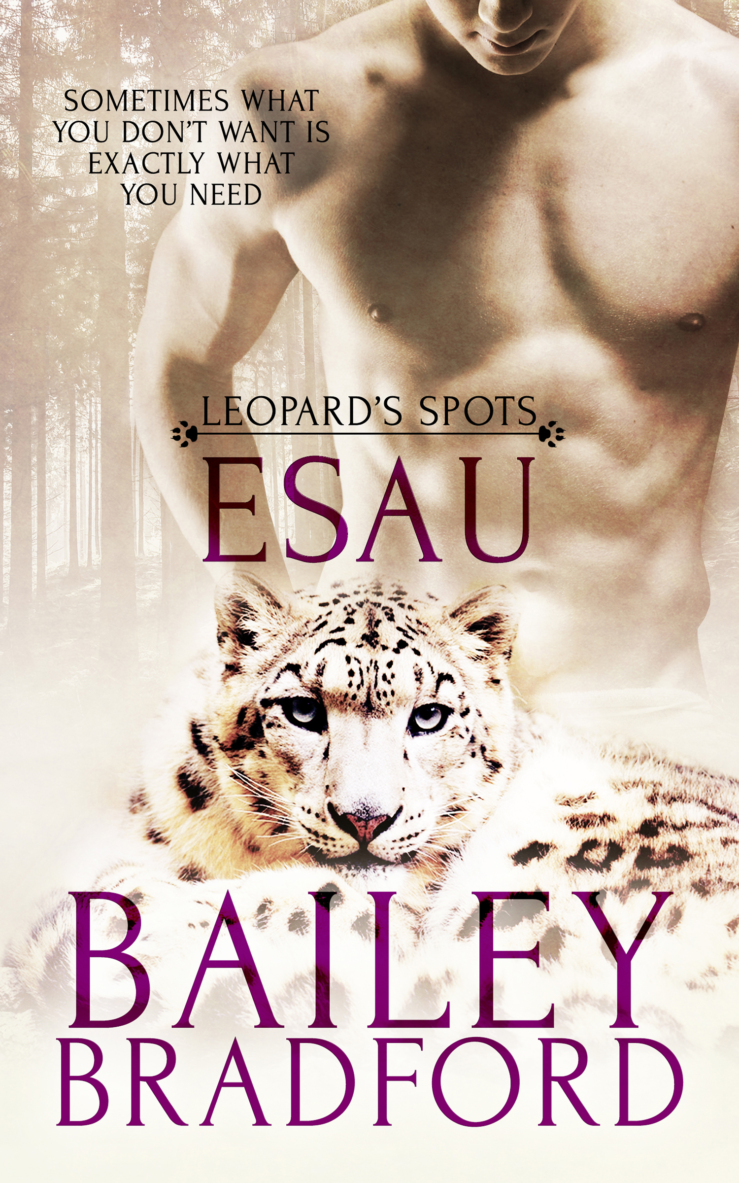 Esau book cover