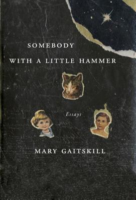 Somebody with a Little Hammer book cover