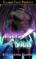 Reaver of Souls book cover