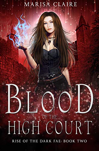 Blood of the High Court book cover