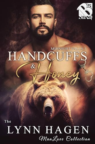 Midnight Falls book cover 1