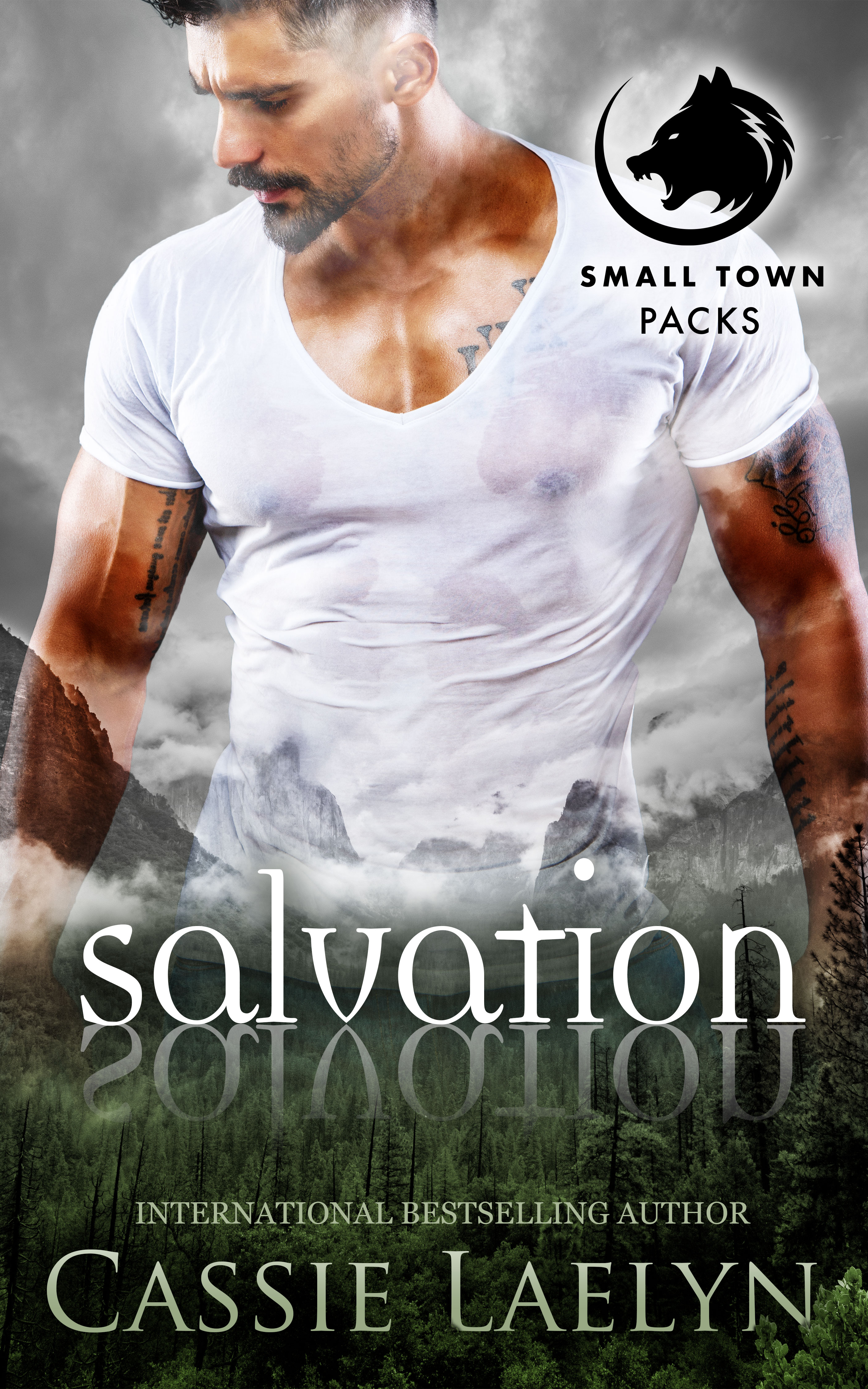 Small Town Packs book cover 1