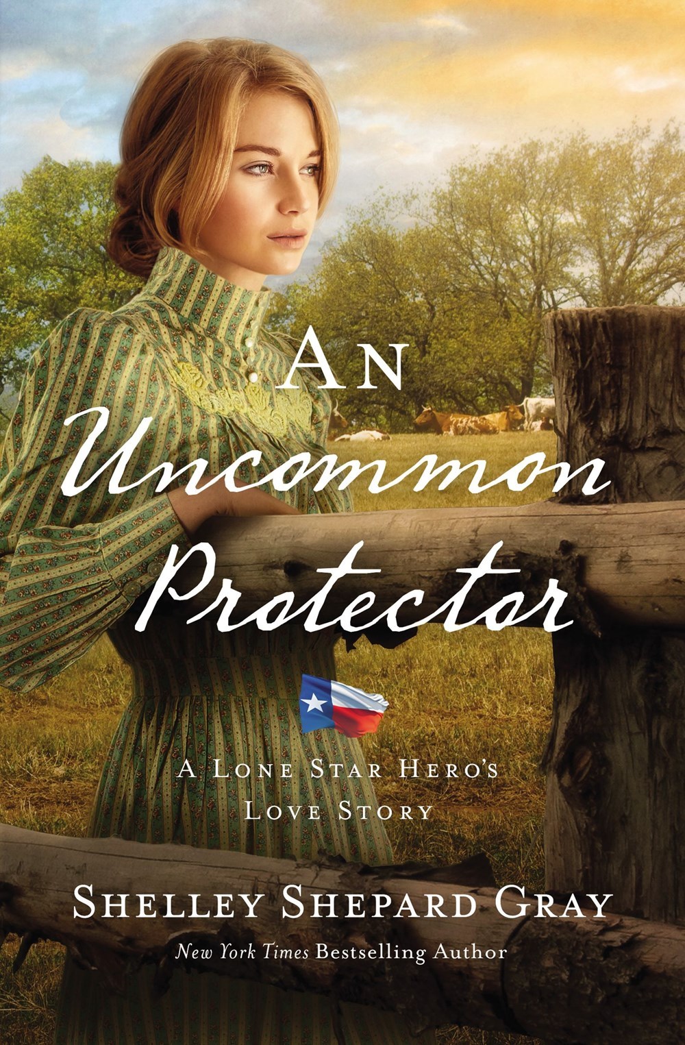 Lone Star Hero book cover 2