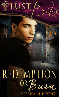 Redemption or Burn book cover