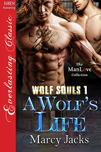 Wolf Souls book cover 1