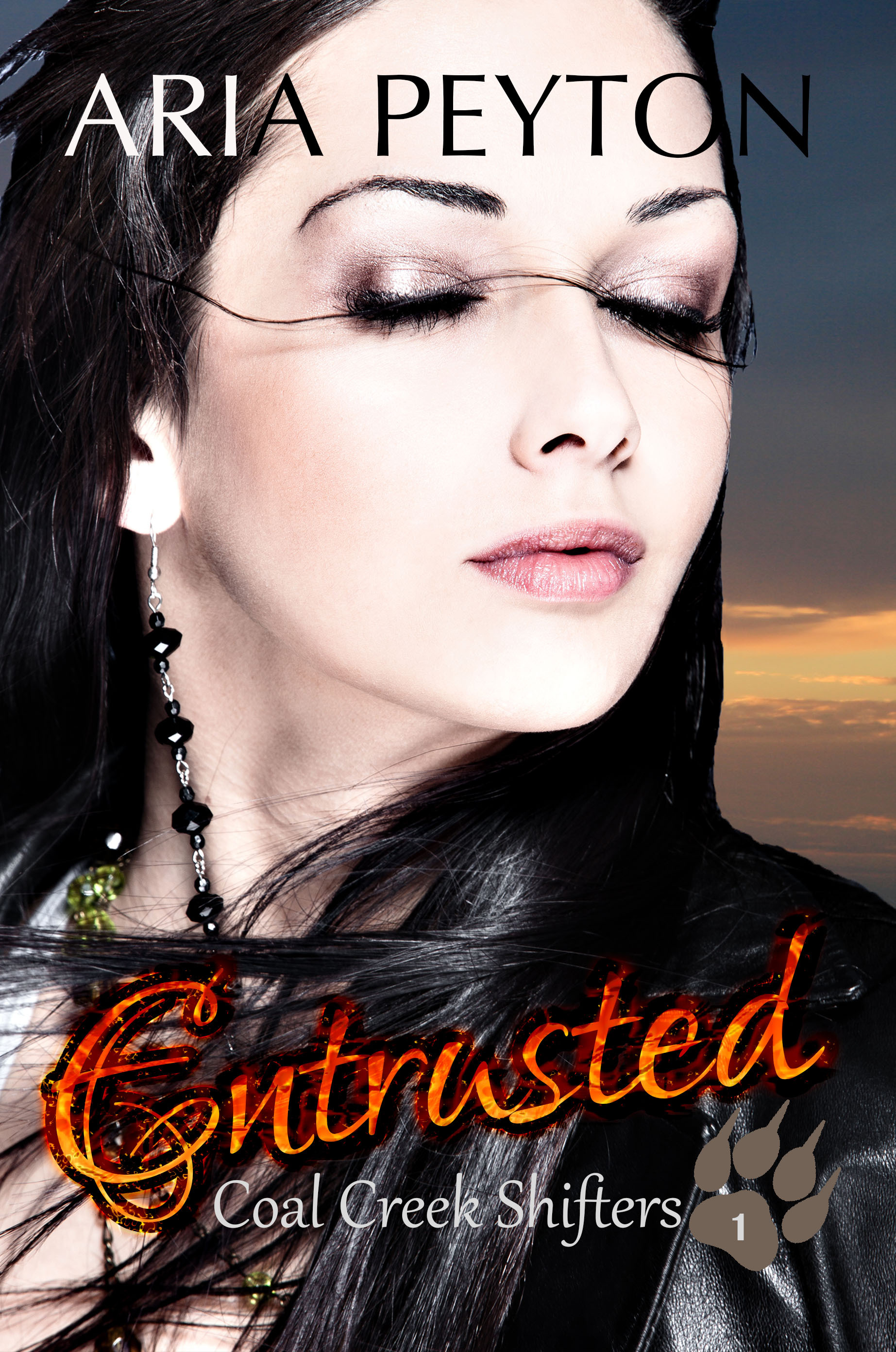 Entrusted book cover