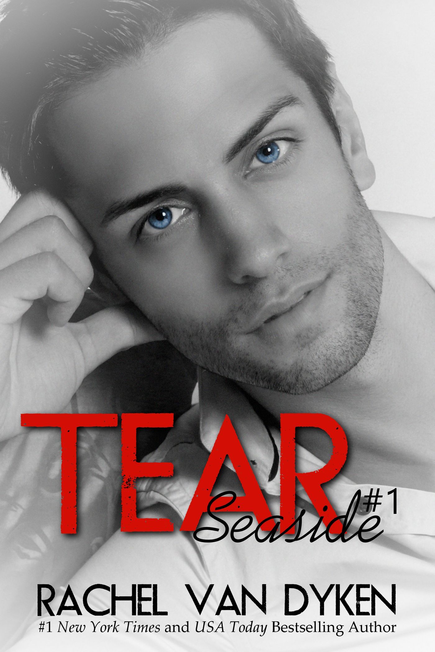 Seaside book cover 1