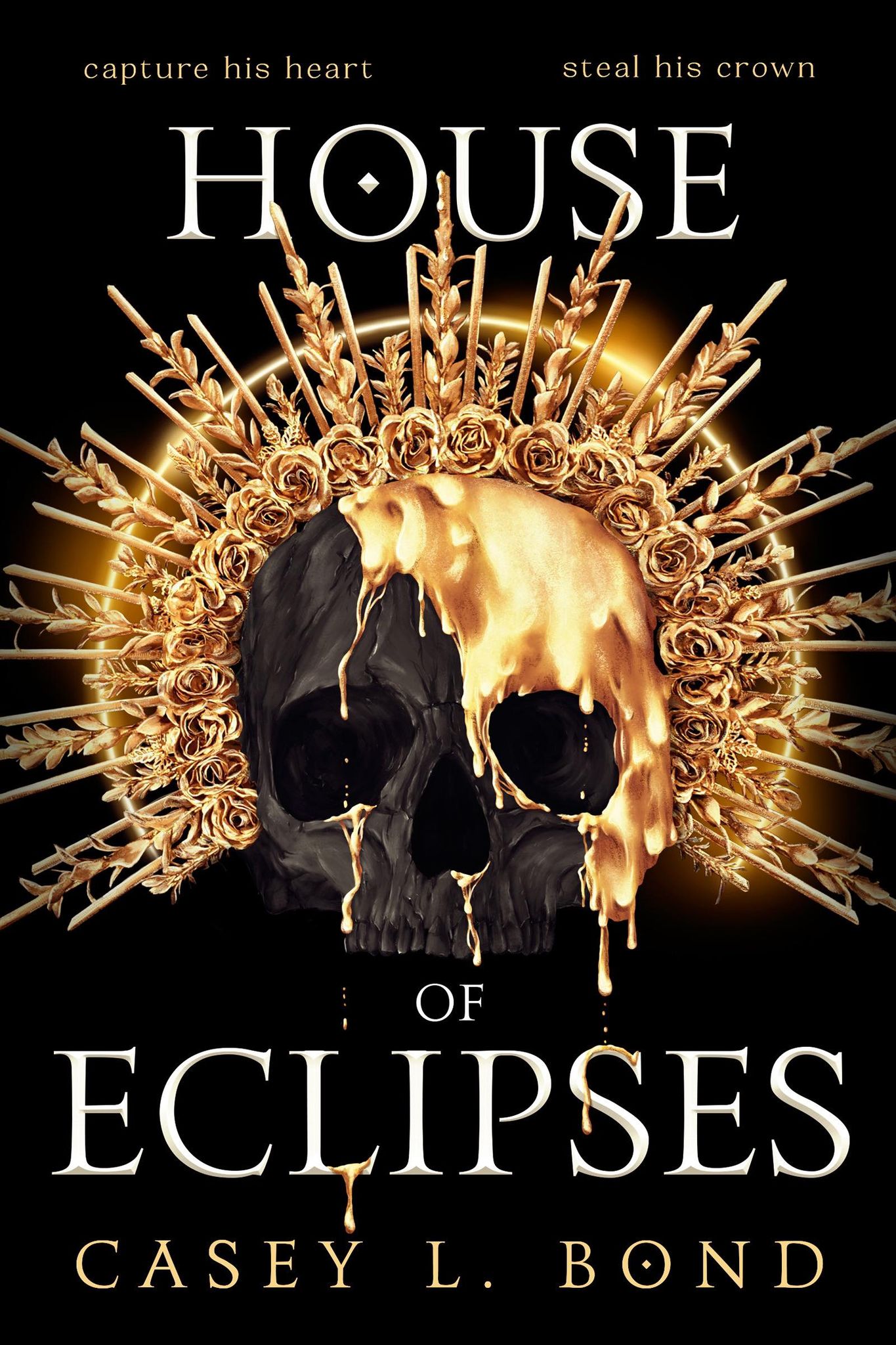 House of Eclipses book cover 1
