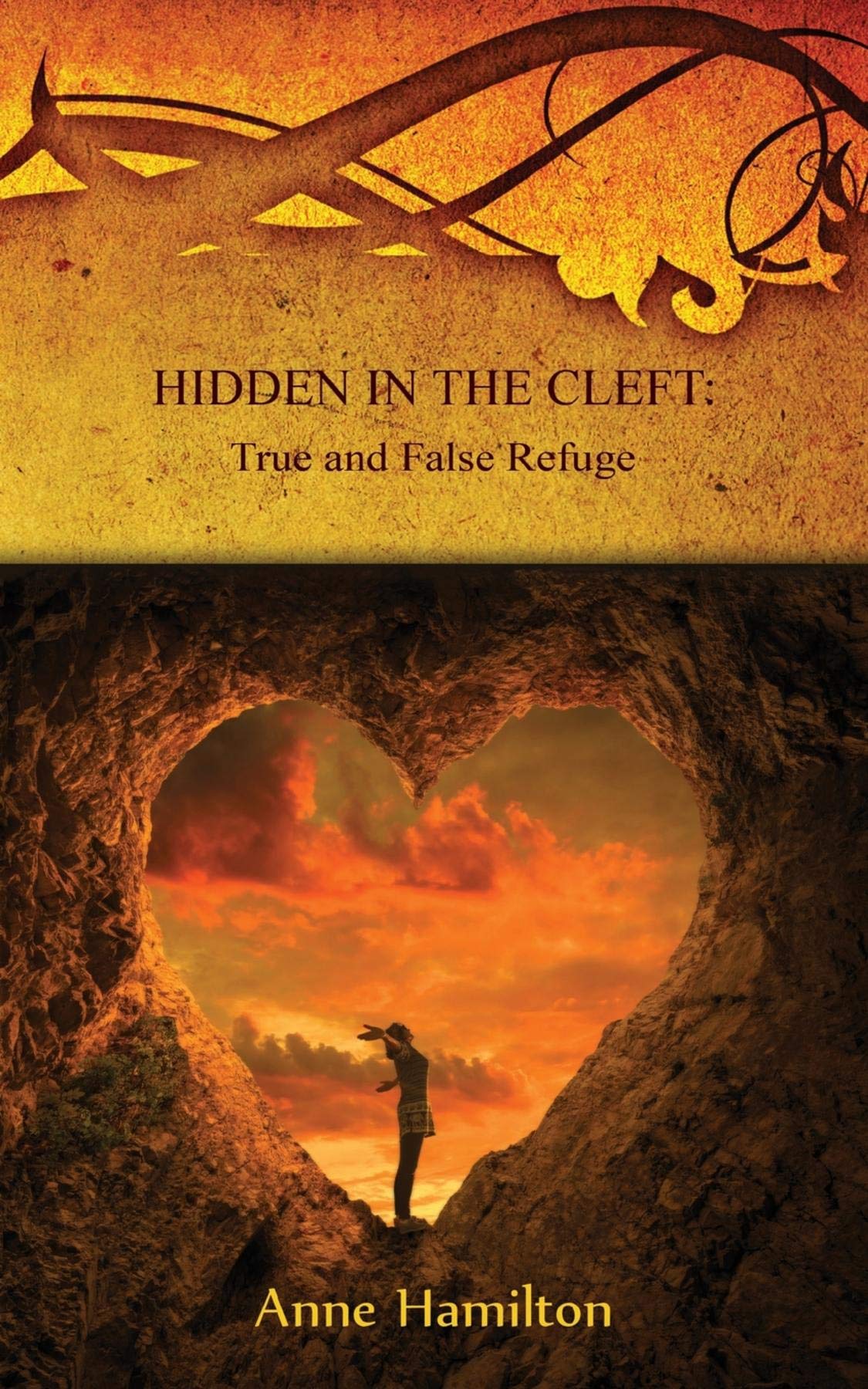 Hidden in the Cleft book cover