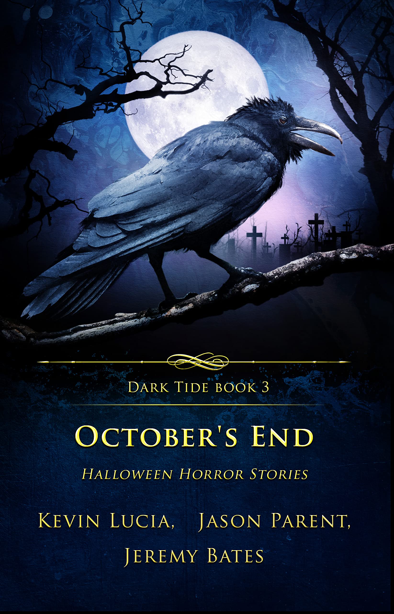 Dark Tide Mysteries and Thrillers book cover 2