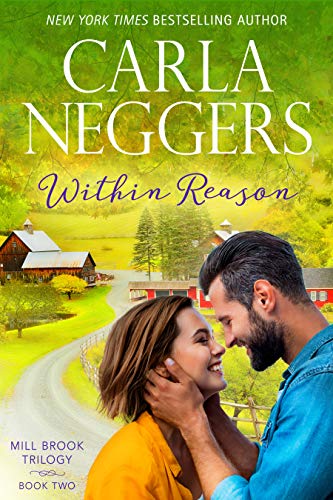 Mill Brook book cover 2