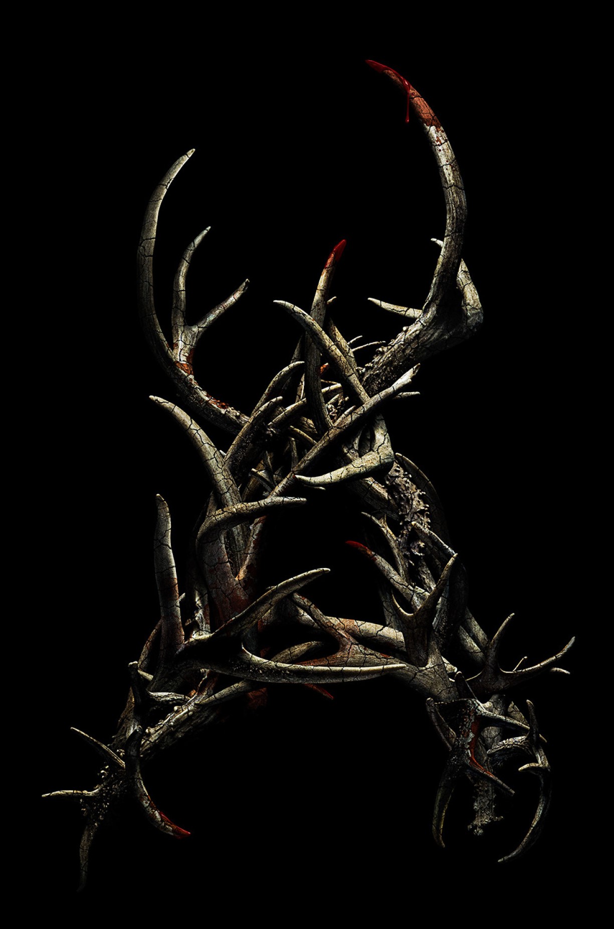 The Quiet Boy book cover
