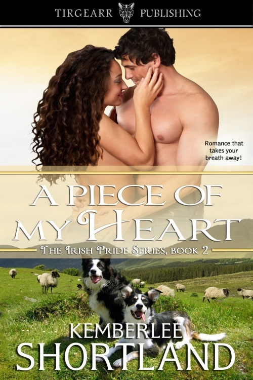 Irish Pride Series book cover 2