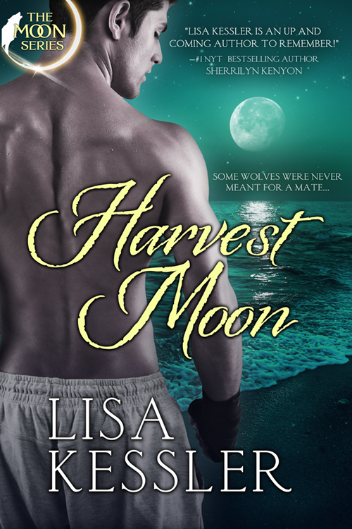Harvest Moon book cover