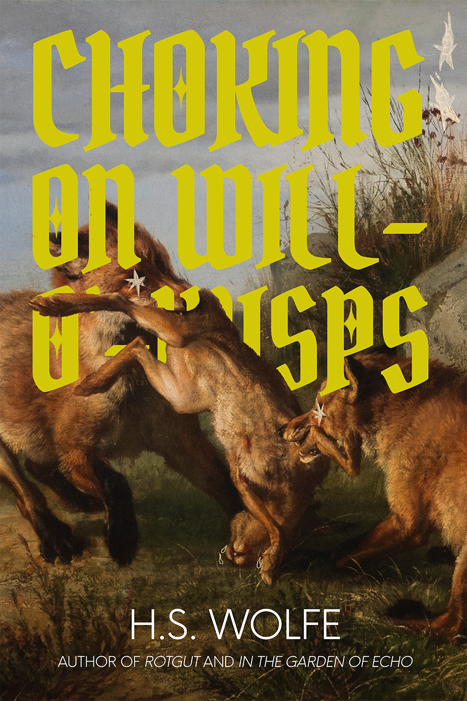 Choking On Will-O'-Wisps book cover
